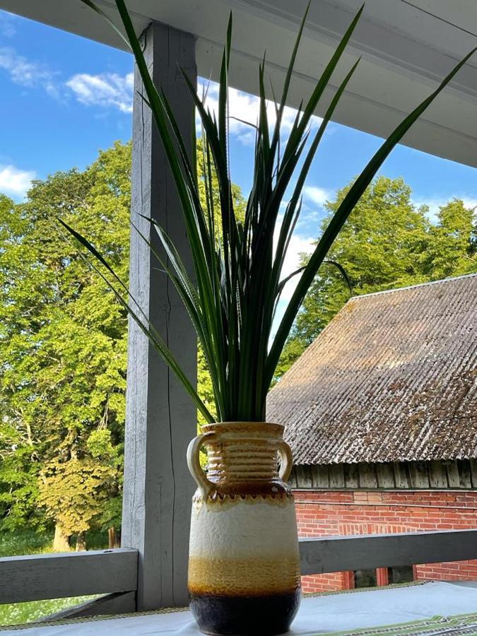Strautmali White House In Mazirbe Villa Eksteriør billede